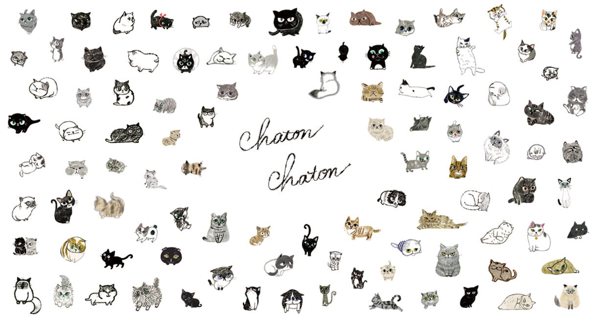 Chaton Chaton